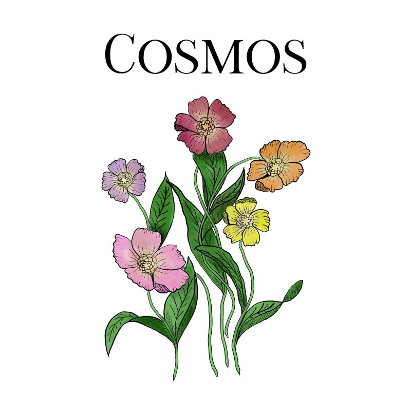 Cosmos Collection | Playful Floral Spiritual Apparel, Mugs, & Tote Bags