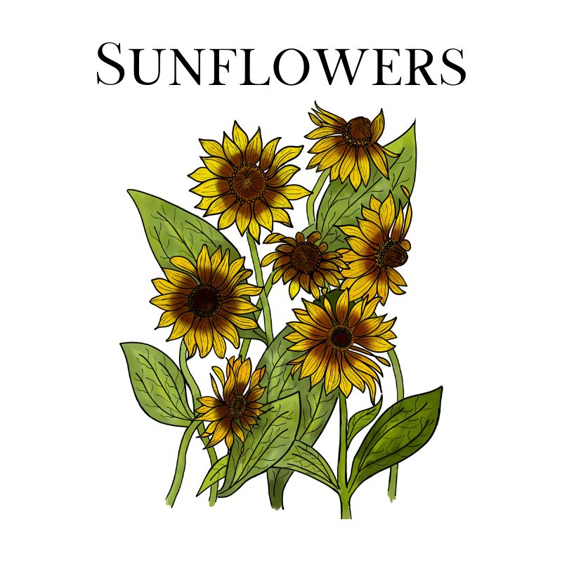 Sunflowers Collection | Bright Floral Spiritual Apparel, Mugs, & More