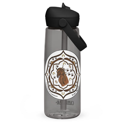 Brown Talent Mandala Flip Straw  Water Bottle charcoal