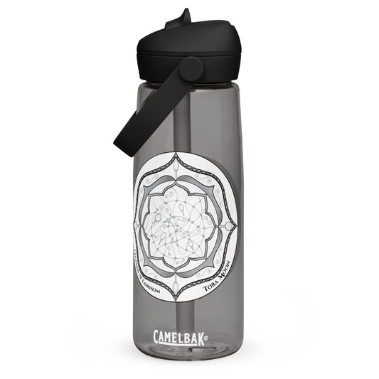 Gray Talent Mandala Flip Straw Water Bottle charcoal