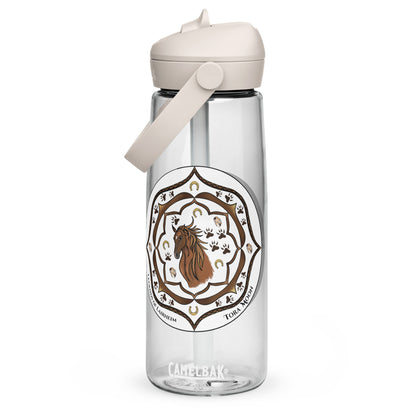 Brown Talent Mandala Flip Straw  Water Bottle clear