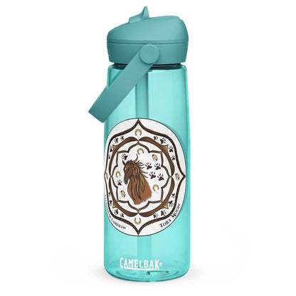Brown Talent Mandala Flip Straw  Water Bottle cove blue