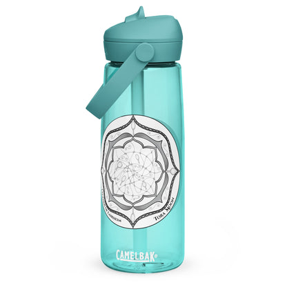 Gray Talent Mandala Flip Straw Water Bottle cove blue