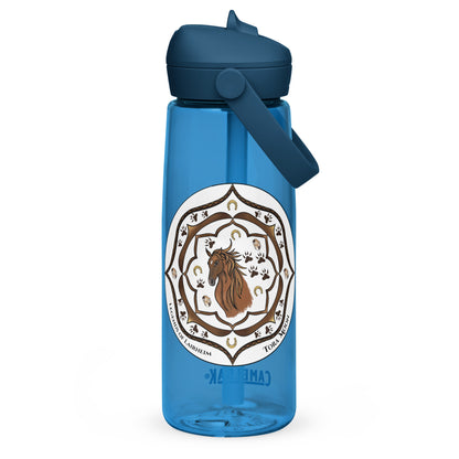 Brown Talent Mandala Flip Straw  Water Bottle oxford blue