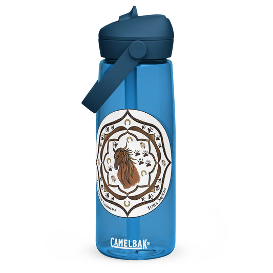 Brown Talent Mandala Flip Straw  Water Bottle oxford blue