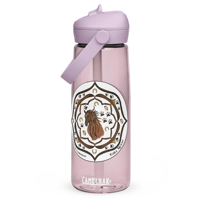 Brown Talent Mandala Flip Straw  Water Bottle purple sky